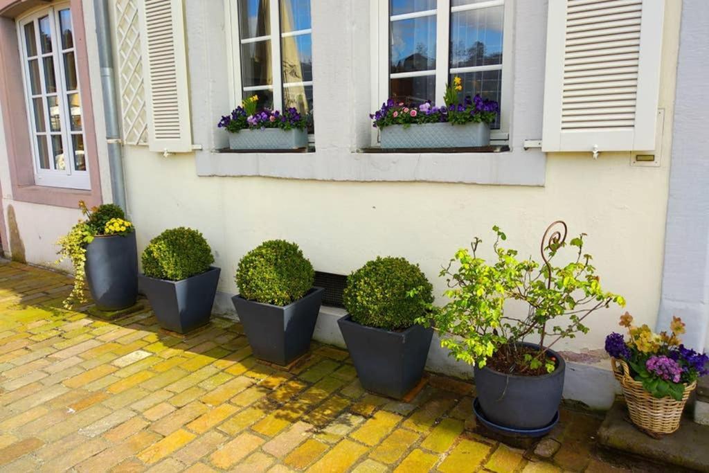 Pearl Studio Apart - King Bed - Netflix - Projector - Fast Wi-Fi Trier Exteriör bild